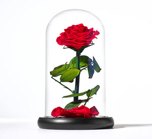 Gifts For Her Collection | Sharper Image