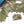 Personalized Aerial Photo Puzzle
