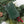 9-Ft. Cordless Pre-Lit Indoor/Outdoor Garland