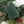 30'' Cordless Pre-Lit Indoor/Outdoor Wreath