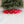 NFL Tree Skirt