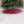NFL Tree Skirt