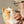 Lifelike Interactive Pet