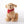 Lifelike Interactive Pet
