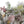 30'' White Flocked Cordless Pre-Lit Indoor/Outdoor Wreath