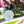 3w9ovEyqIzMGM2lsLr6Urp