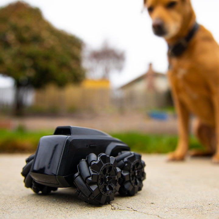 Mobile Security Robot