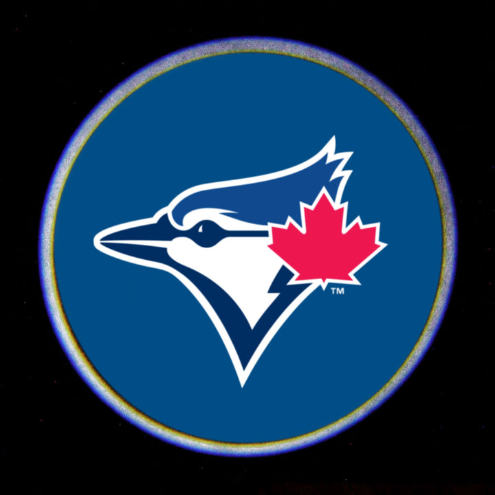 MLB Car Door Light