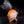 Full Moon Humidifier