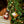 Interactive Santa Ornament with Journal