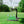 Golf Swing and Hitting Trainer