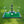 Golf Swing and Hitting Trainer