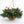 Berry Foliage Hanging Basket with LED Lights