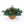 Berry Foliage Hanging Basket with LED Lights