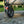 Electric Pull-Assist Utility Wagon