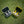 Golf GPS Earbuds