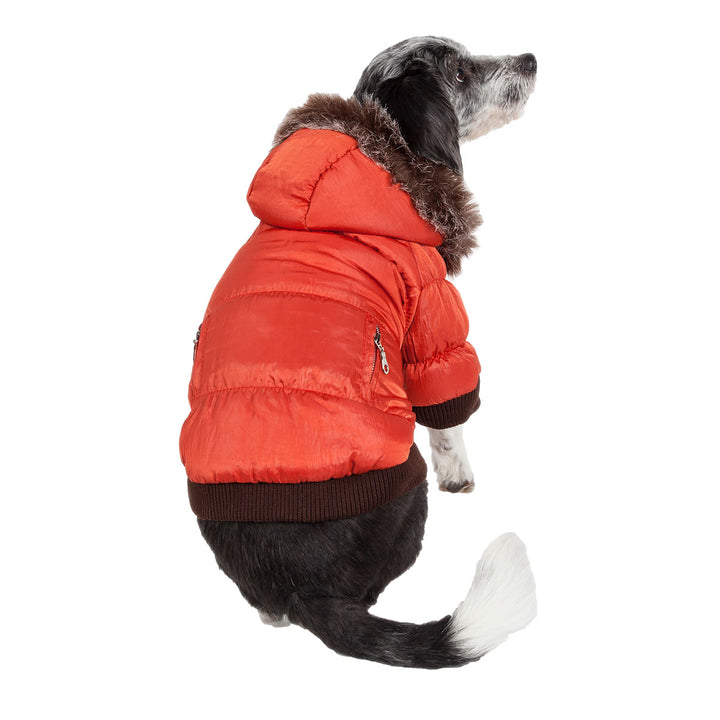 Insulated Dog Coat Parka with Removable Hood