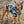 Insulated Dog Coat Parka with Removable Hood