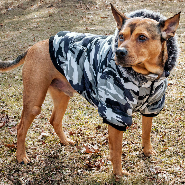 Insulated Dog Coat Parka with Removable Hood