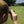 Golf Range Scope