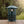 Luxe 1 Acre Flying Insect and Mosquito Trap