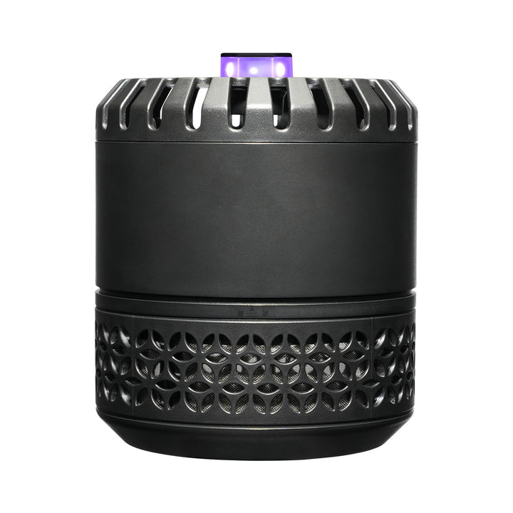 LED Indoor Fruit Fly Trap