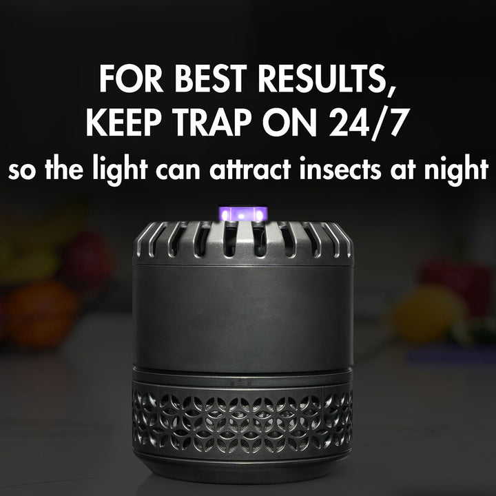 LED Indoor Fruit Fly Trap