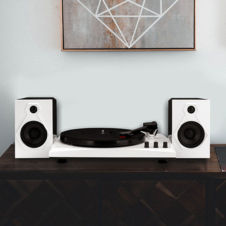 Stereo Turntable System with Speakers