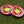 Golf Green Leveling Reader