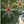 1K9hqgp85rAXna1c5669Tu