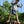 2B9CvIXu7kXd2U48G4rsZI