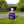 77Ml0TtnvQ0ci5BVMWinkm