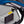 5LPStR54IiSwg2RIELtL6a