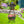 5sMc6j1gpMcKlnuif7xPAR