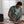 7Brl2hsLi0WF733tmZ7Vq5