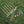 xBqZdlsPkf47XY0Do4zNj