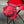 4QymXDSj29CpN62vN4pghf