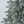 7.5' Blue Spruce Christmas Tree