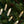 559TIoeWhUw77NnQPN0X7Z
