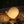 Shell Solar Powered Deck Lights (Set of 4)