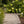 Wave Style Solar Powered Pathway Lights (Set of 2)