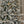 Flocked Palmetto Pine Christmas Tree