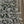 Flocked Palmetto Pine Christmas Tree