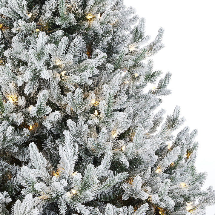 Flocked Frasier Fir Christmas Tree