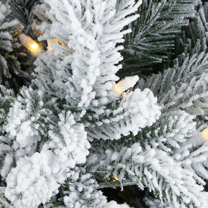Flocked Frasier Fir Christmas Tree