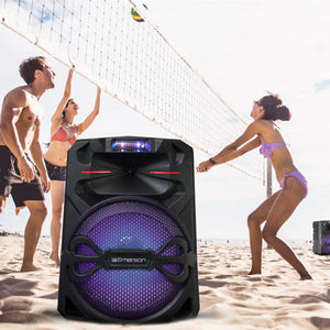 12'' Portable Party Speaker