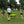 PaddleSmash Complete Set