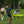 PaddleSmash Complete Set