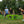 PaddleSmash Complete Set