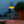 4-in-1 Indoor/Outdoor Bug Deterrent Lamp